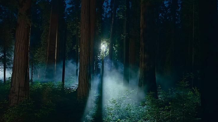 Останні бета-версії macOS Sequoia додали нові шпалери