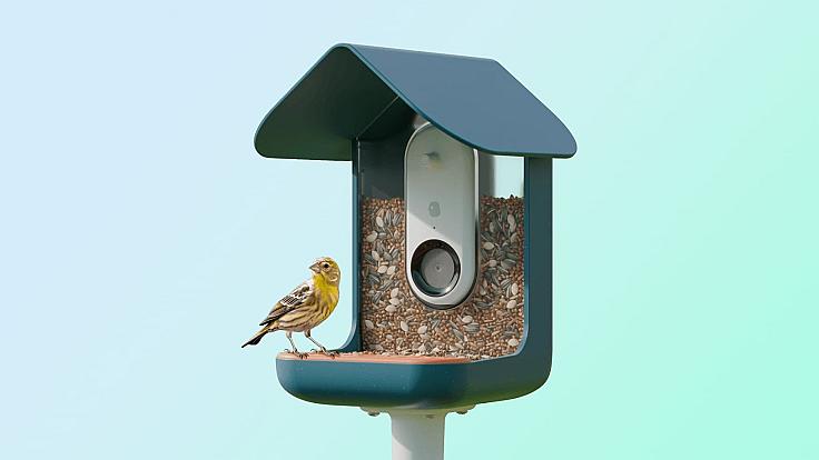 Bird Buddy – це весела підключена до iPhone розумна годівниця для птахів