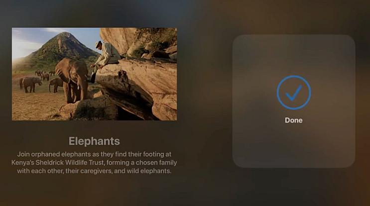 tvOS 18 дозволить користувачам надсилати посилання для спільного використання з Apple TV на iPhone